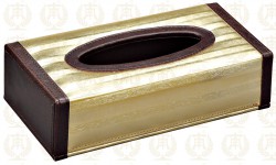 Hộp đựng khăn giấy 51C1X (T1) 853套889