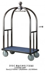 Xe đẩy hành lý D13-C