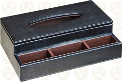 Hộp đựng khăn giấy 51F807