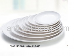 Đĩa bầu dục P006